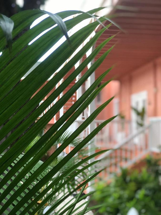 Villa Maui Garden Oasis à Lahaina Extérieur photo